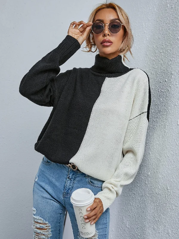 Casual Colorblock Long Sleeve High Neck Regular Women Sweater Cashmere