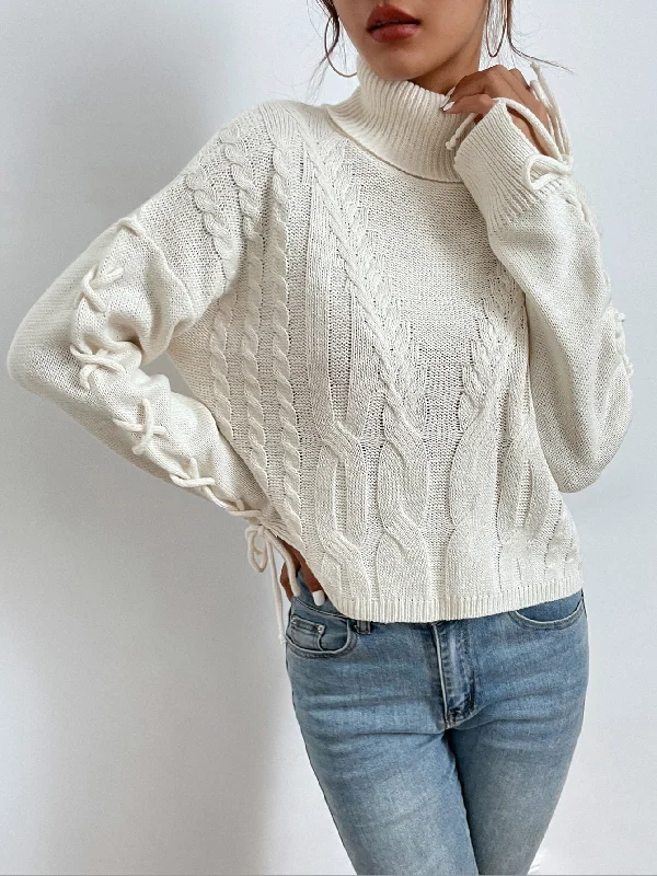 Casual Plain Long Sleeve High Neck Regular Women Sweater